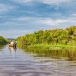 half-day-mabamba-shoebill-tracking-tour-from-45pp