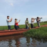 from-kampala-mabamba-swamp-birding-half-day-tour