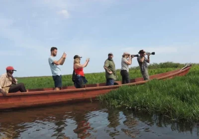 from-kampala-mabamba-swamp-birding-half-day-tour