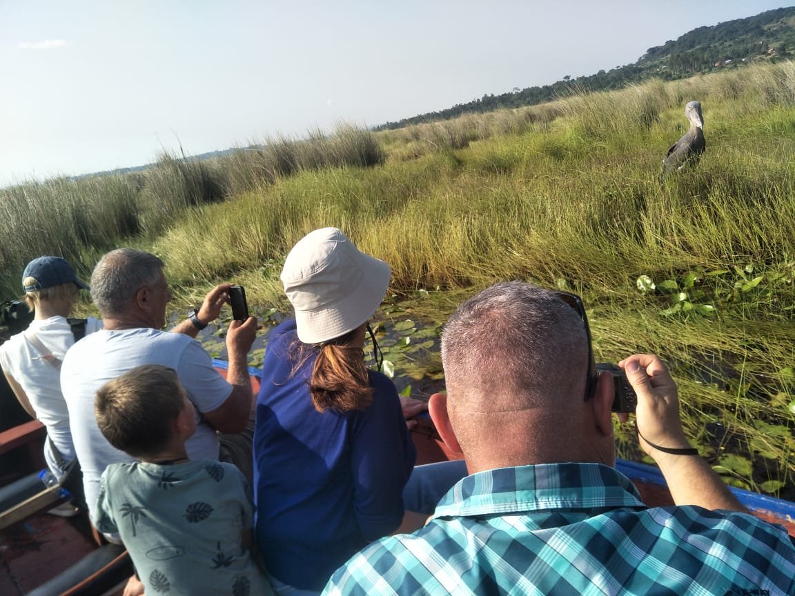 how-long-is-shoebill-tour-in-mabamba